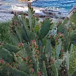 Glaucus Veli Lošinj