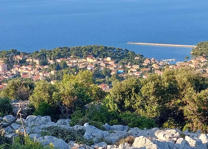 Glaucus Veli Lošinj